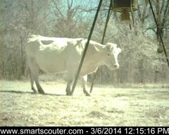 PorkysPlayground_362014_6417139 (1).jpg